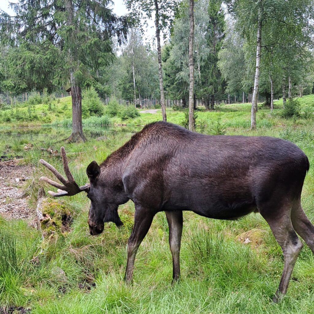 WhatsApp Image 2023-08-16 at 11.31.15