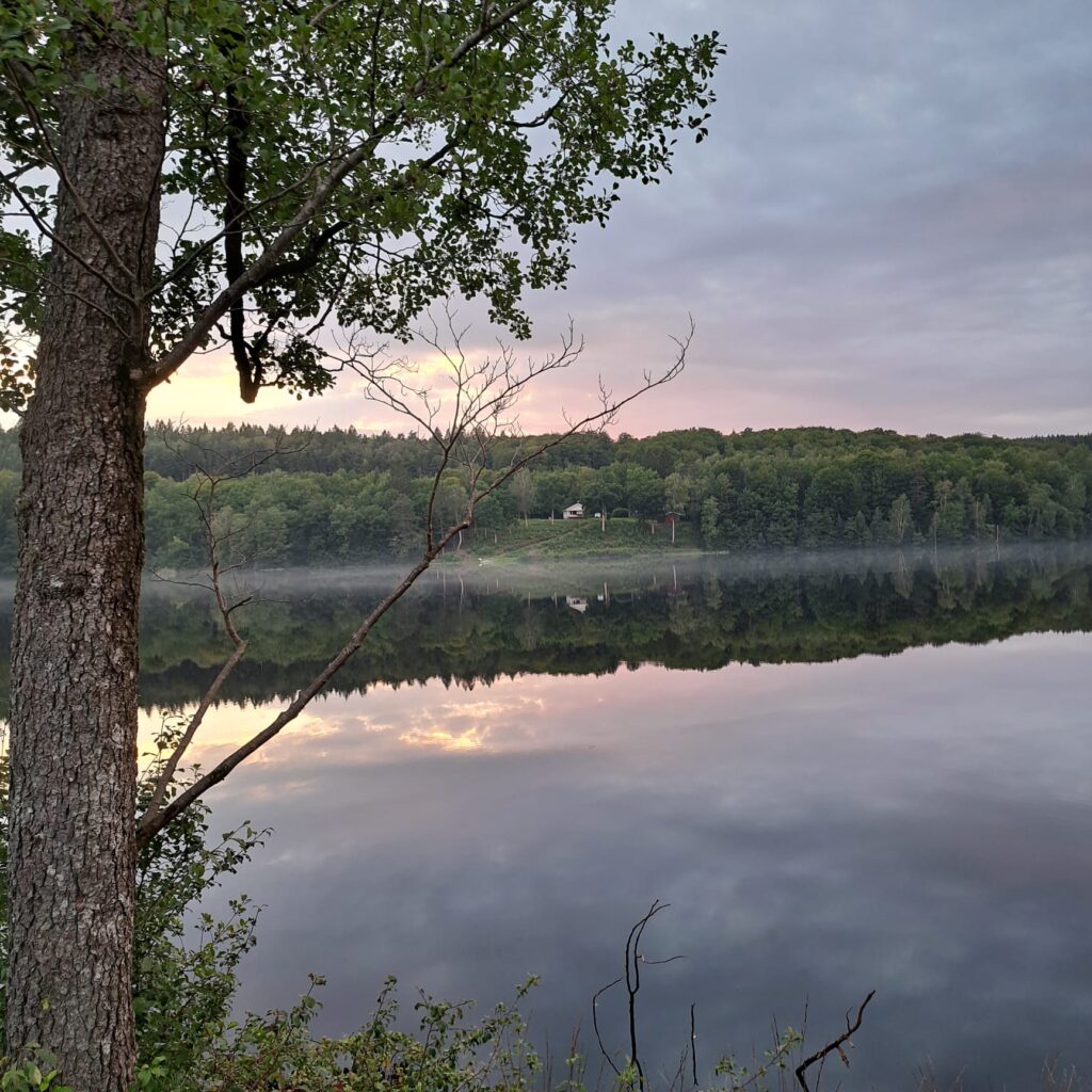 WhatsApp Image 2023-08-16 at 11.33.25